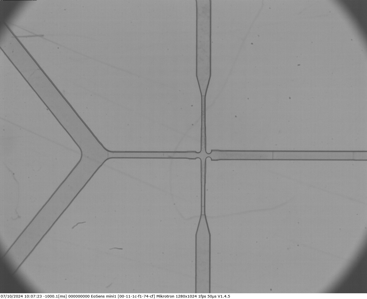 Droplet generator microfluidics