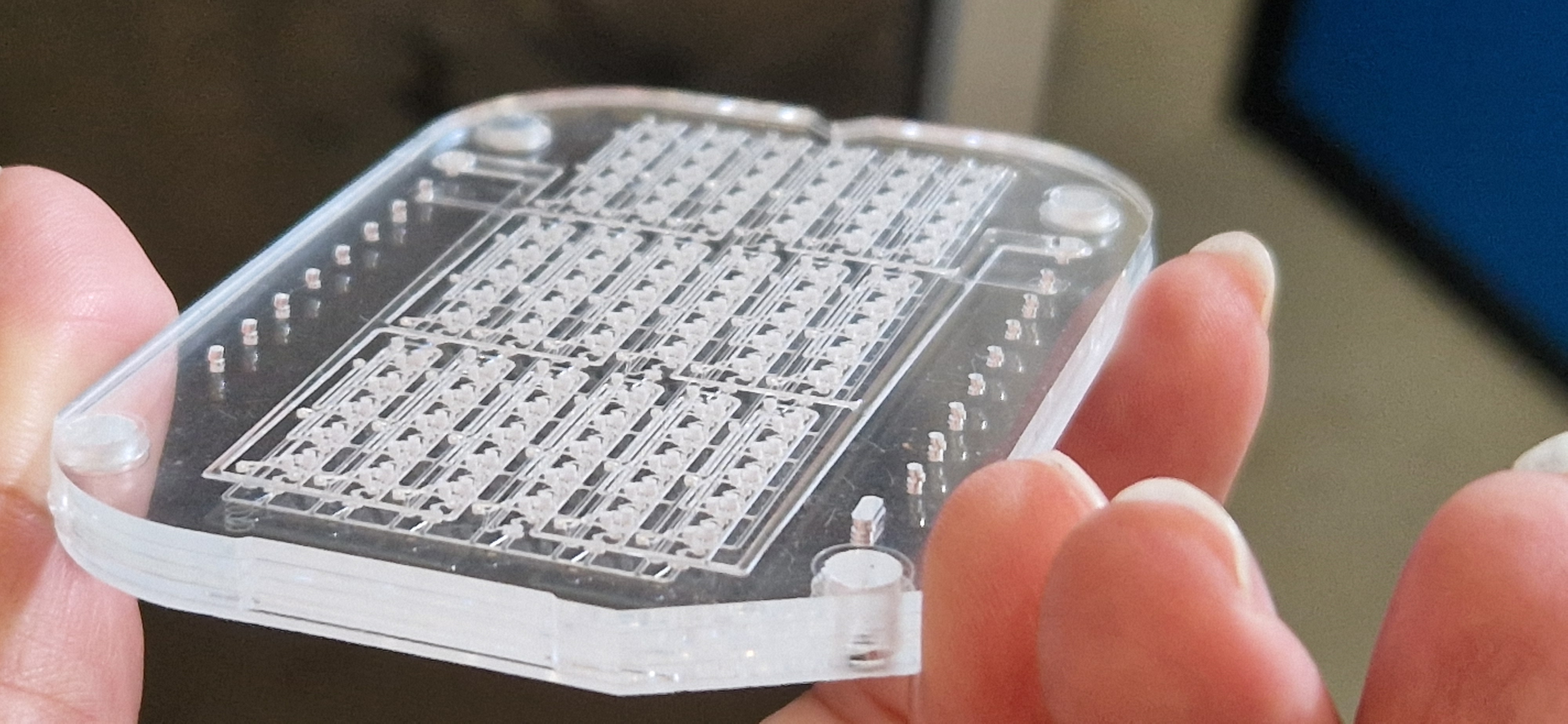 Multi-layer microfluidic chip